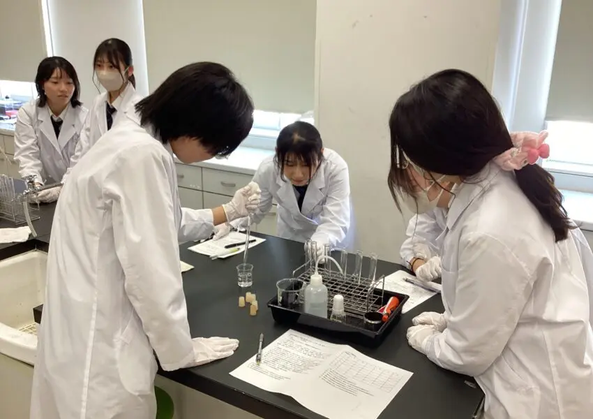 高2化学 無機化学：金属の推定と濃硫酸の性質 | 神奈川学園