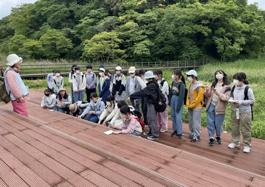 中2学年 小網代の森に出かけました | 神奈川学園