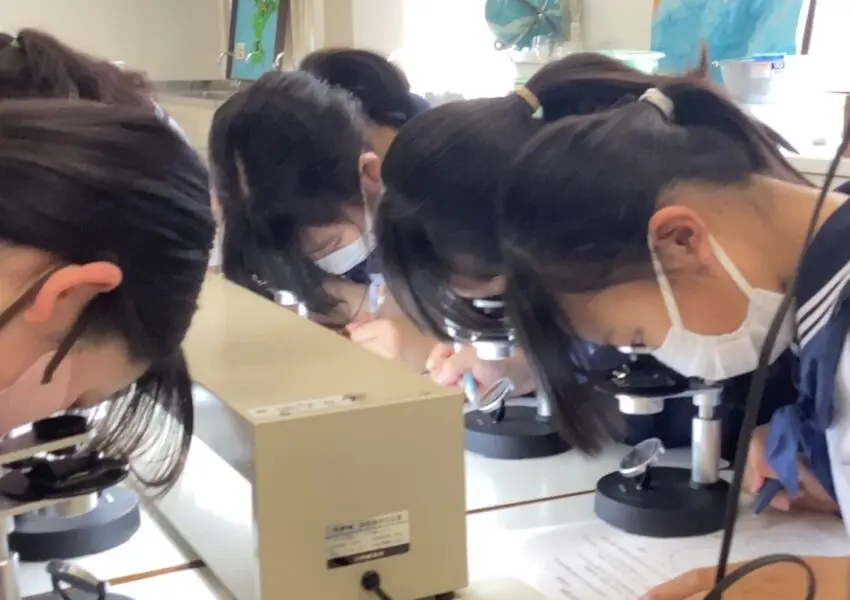中2理科 火成岩の観察 | 神奈川学園