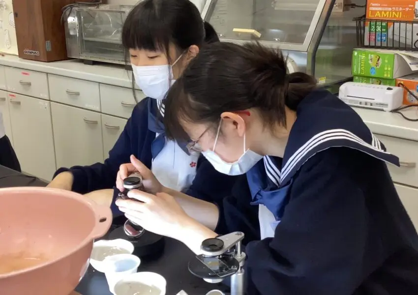 中2理科 わんがけ法で火山灰の観察 | 神奈川学園