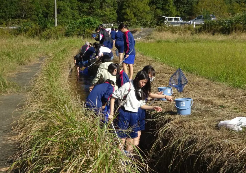 高1FW 四万十川方面：自然との共生と地域社会との関わりを考えた旅