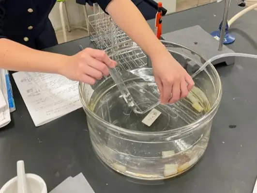 高2化学 鎖式炭化水素の実験 | 神奈川学園