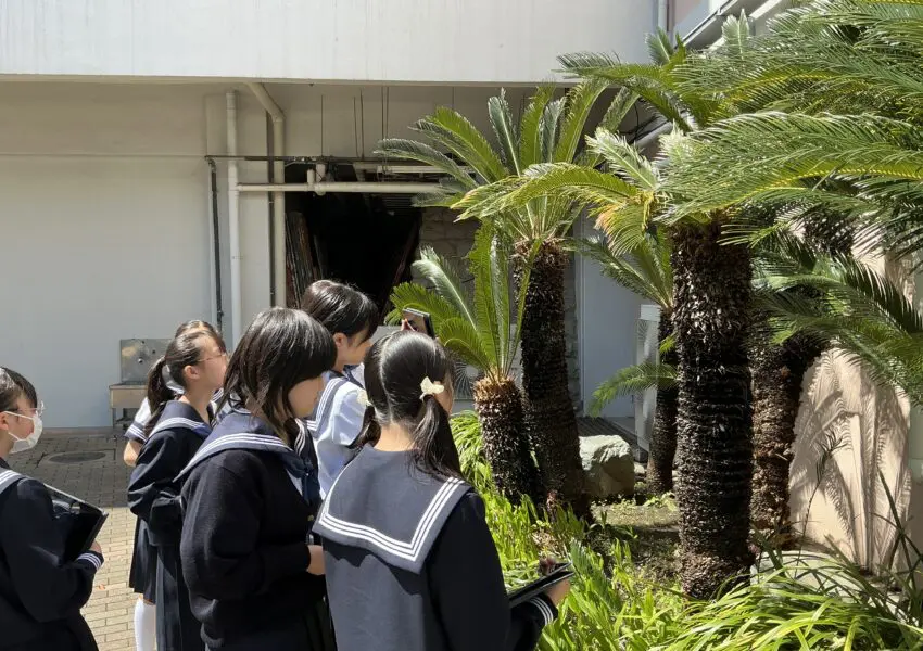 中1理科 校内の植物を観察しました | 神奈川学園